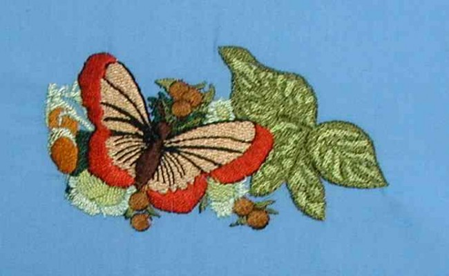 BFC0166C Victorian Butterfly Frame