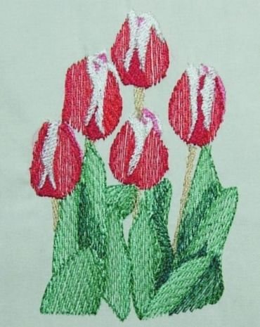 BFC0250 Watercolor Tulips