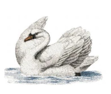 RMG2532 Swan