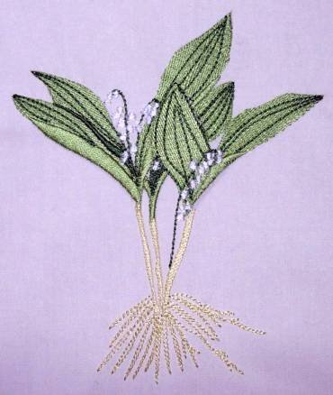 BFC0254 Botanical Bulbs