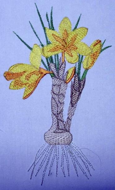 BFC0254 Botanical Bulbs