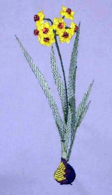 BFC0254 Botanical Bulbs