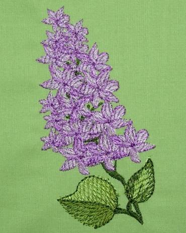 BFC0258 Lilacs