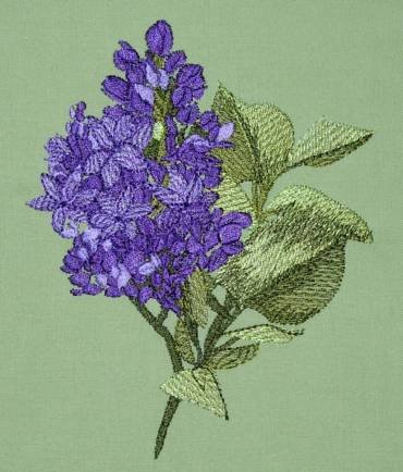 BFC0258 Lilacs