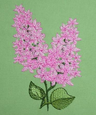 BFC0258 Lilacs