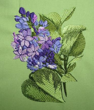 BFC0258 Lilacs