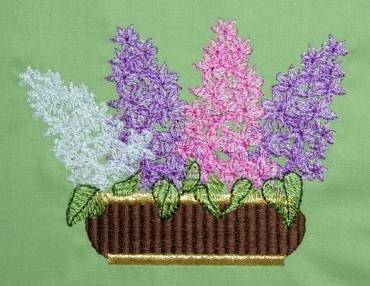BFC0258 Lilacs