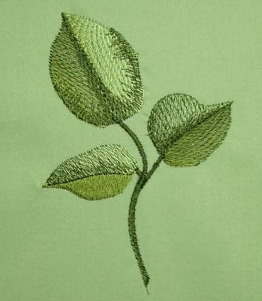 BFC0258 Lilacs