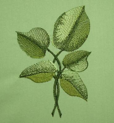 BFC0258 Lilacs