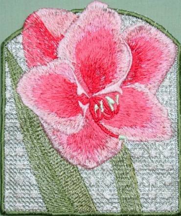 BFC0261 Lace Bowl and Doily Amaryllis
