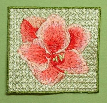 BFC0261 Lace Bowl and Doily Amaryllis