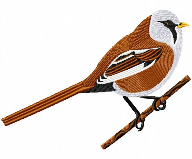 RMG262 Bearded Tit
