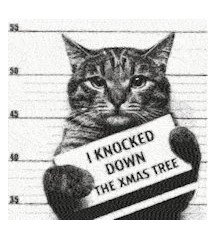 RMG2637  Under Arrest