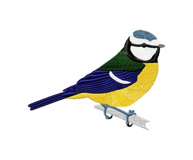 RMG264 Blue Tit