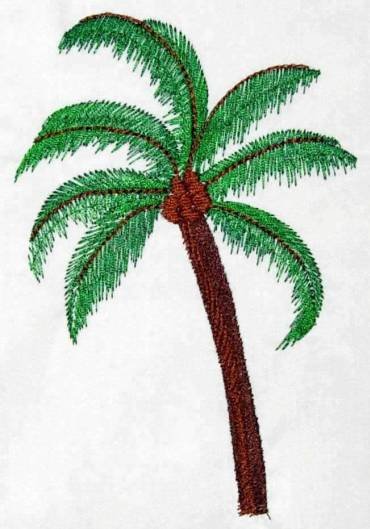 BFC0265 Tropical Palms