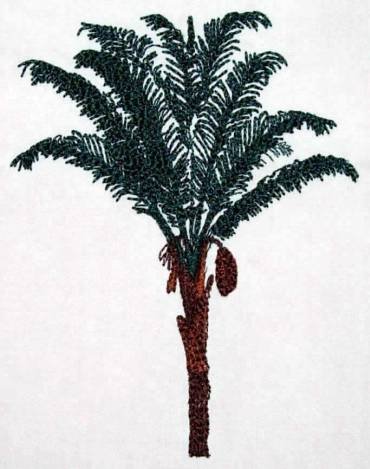 BFC0265 Tropical Palms