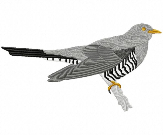 RMG268 Cuckoo