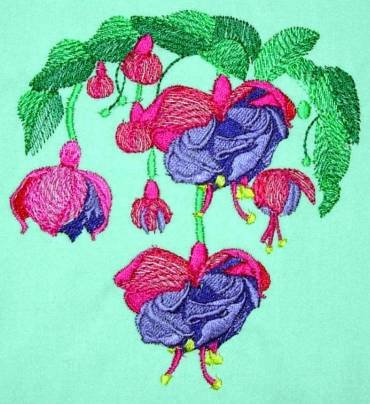 BFC0269C Hummingbirds and Fuchsias