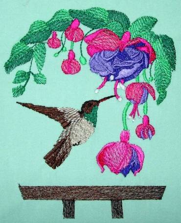 BFC0269C Hummingbirds and Fuchsias