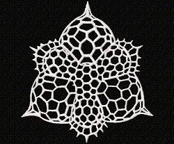 RMG237 Radiolarians Set 1