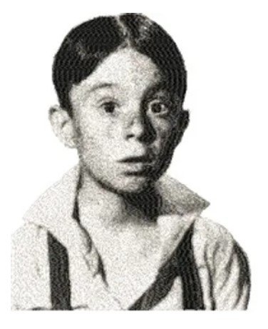 RMG2764  Alfalfa