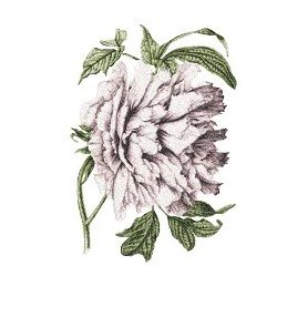 RMG2775A Peony