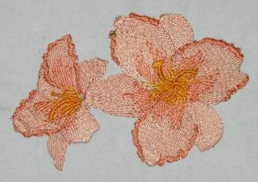 BFC0281 Daylily Garden