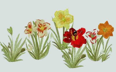 BFC0281 Daylily Garden