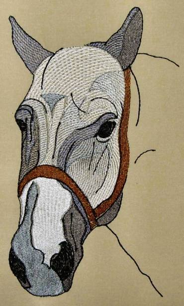 BFC0290 Western Wildlife Meditations