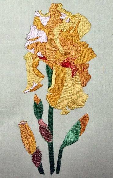 BFC0294 Watercolor Iris