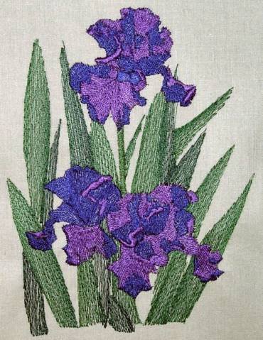 BFC0294 Watercolor Iris