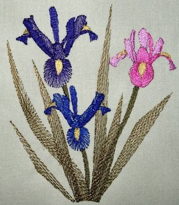 BFC0294 Watercolor Iris