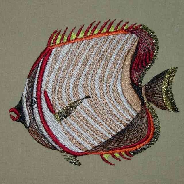 BFC0298  Fantastical Fish