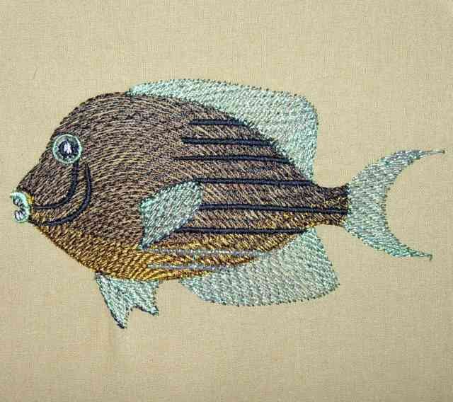 BFC0298  Fantastical Fish