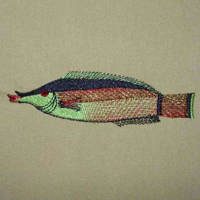 BFC0298  Fantastical Fish