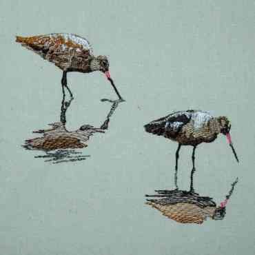 BFC0299 Waterfowl