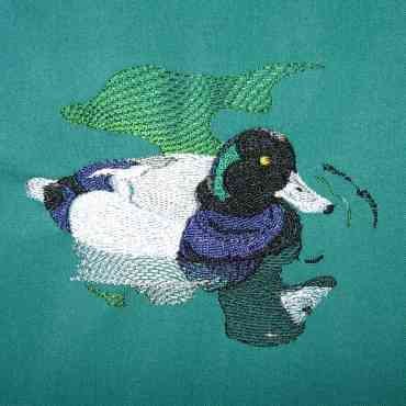 BFC0299 Waterfowl
