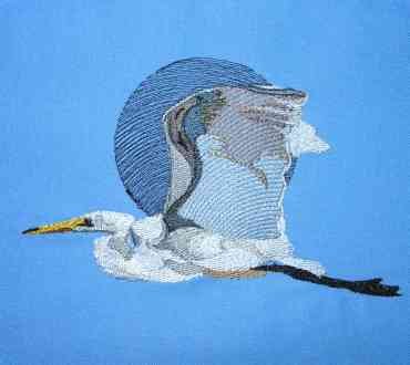 BFC0299 Waterfowl