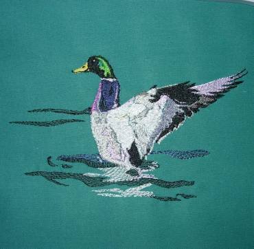 BFC0299 Waterfowl