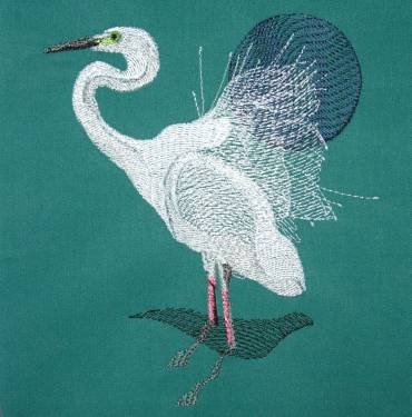 BFC0299 Waterfowl