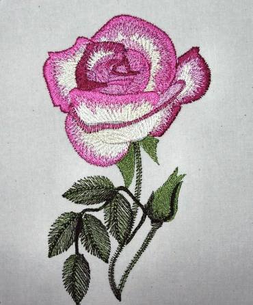 BFC0300 Watercolor Roses