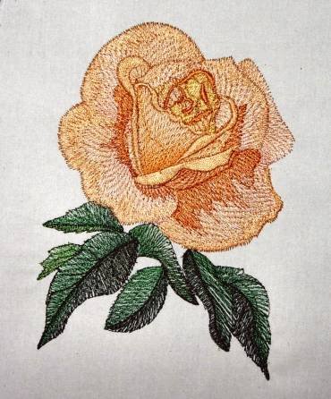 BFC0300 Watercolor Roses