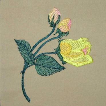 BFC0300 Watercolor Roses