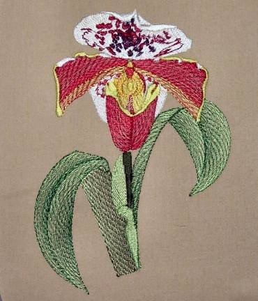 BFC0303 Watercolor Orchids