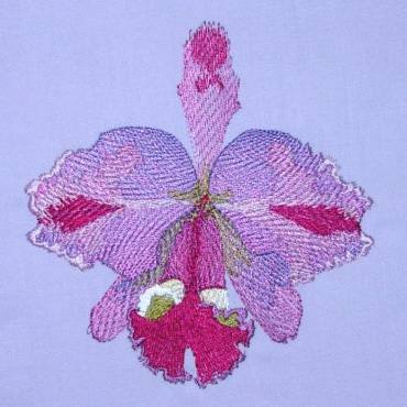 BFC0303 Watercolor Orchids