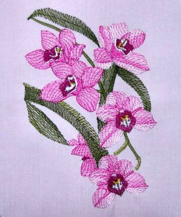 BFC0303 Watercolor Orchids
