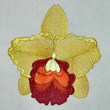 BFC0303 Watercolor Orchids