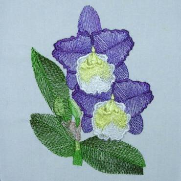 BFC0303 Watercolor Orchids