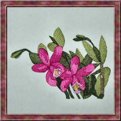 BFC0303 Watercolor Orchids
