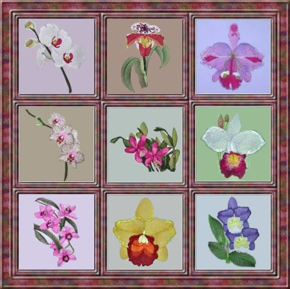 BFC0303 Watercolor Orchids